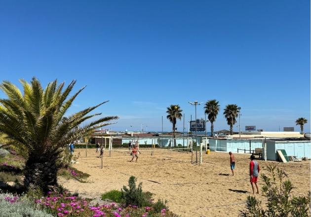 Beach with beach volleyball court and palm trees in the sun.